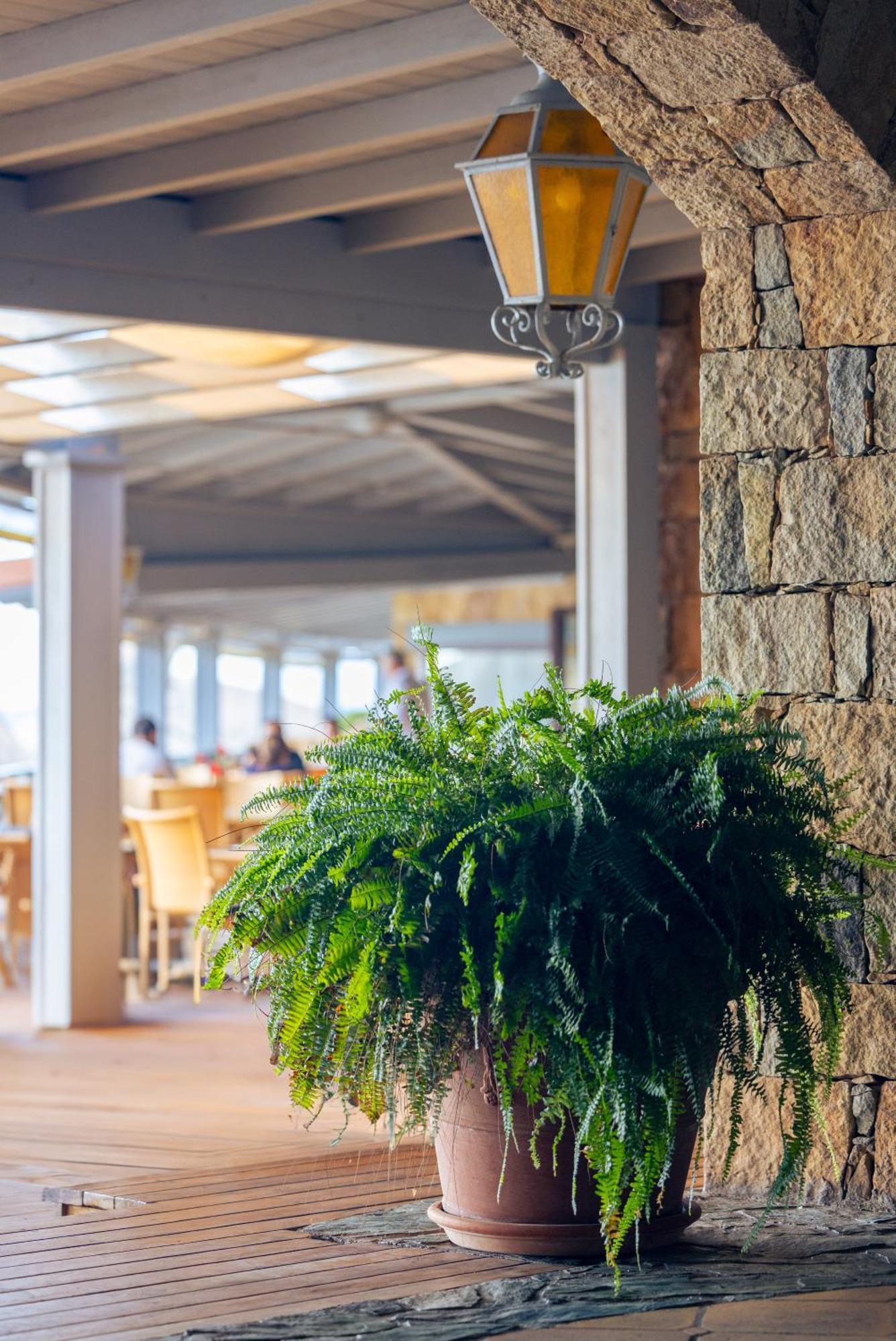 Hotel & Spa Des Pecheurs بونيفَسْيو المظهر الخارجي الصورة